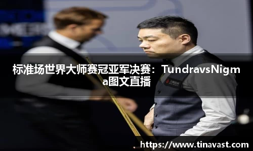 标准场世界大师赛冠亚军决赛：TundravsNigma图文直播